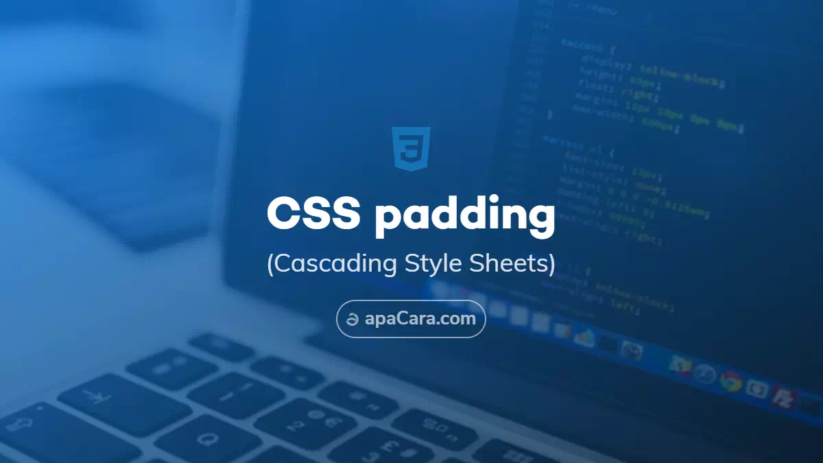 CSS Padding