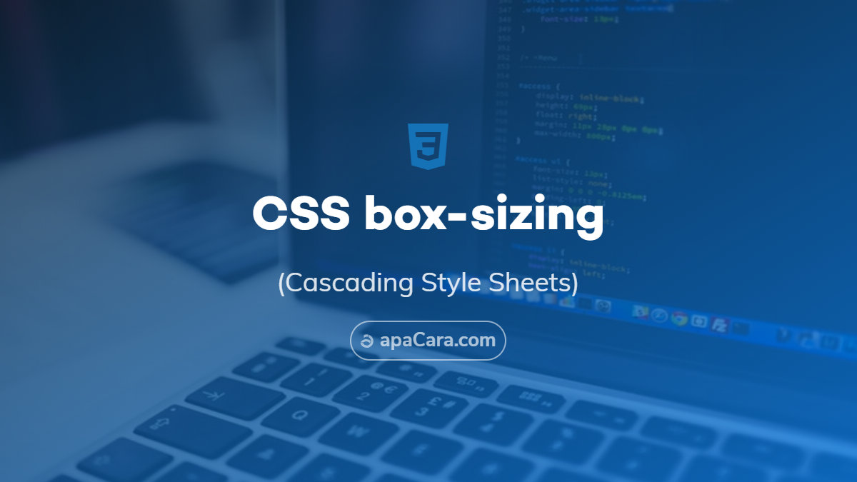 Css Box Sizing Property Explained Css Explained  Development www