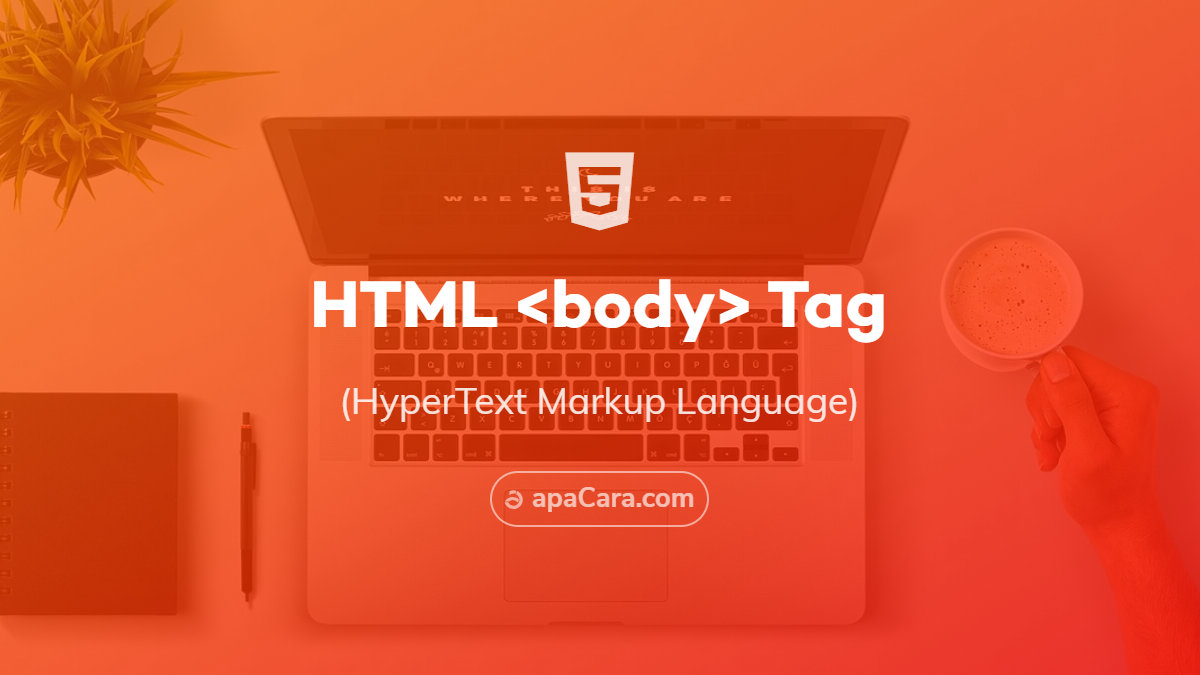 HTML body tag | belajar element